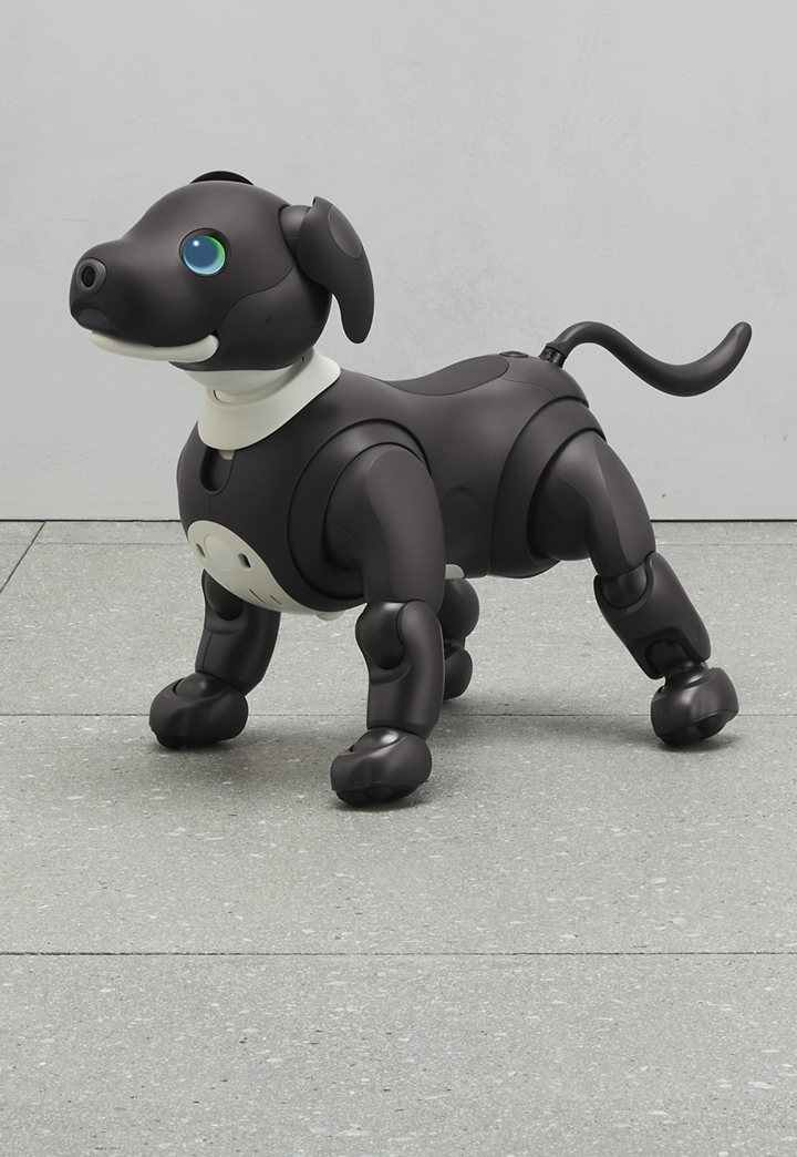 SONY アイボ アイボ aibo ERS-1000 【公式通販】