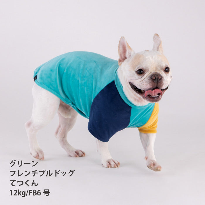 最新秋冬服30%OFF】フレブル・パグ [全29size展開]カラーブロックT