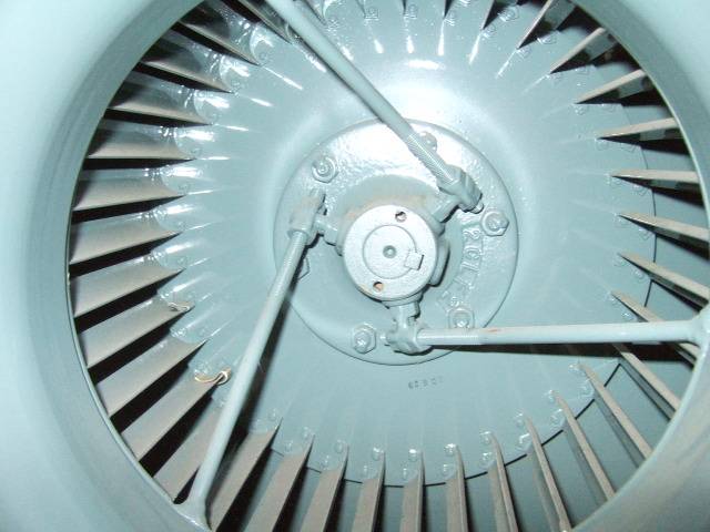 ファンディール NOVA エレメントドラゴン プロモ 一枚500円 ファン