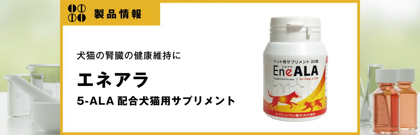 超激安！エネアラ 5個 エネアラ 犬 5個 エネアラの人気商品・通販