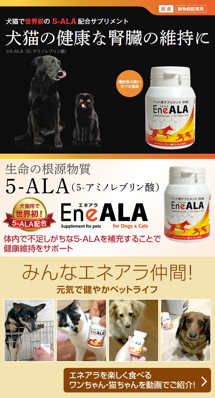 エネアラ｜vet-i-ch｜小動物医療従事者向け Vet-i ch｜物産アニマルヘルス