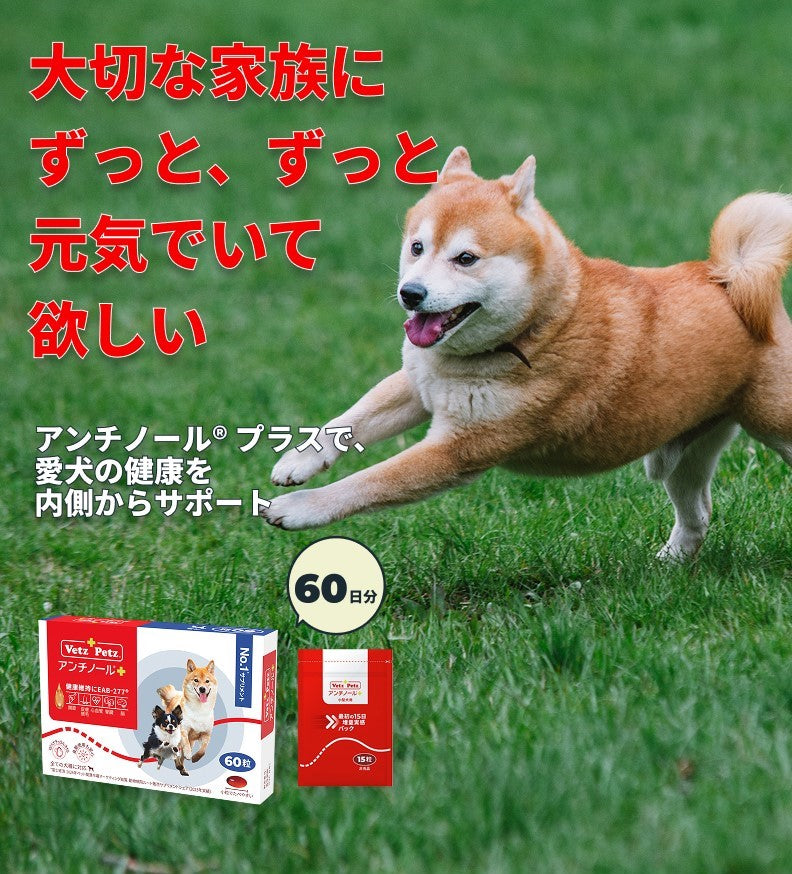 初回購入特典】60日スターターキット（犬用サプリメント
