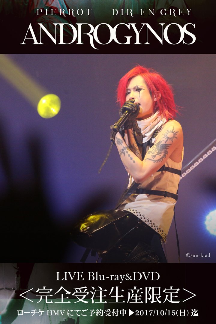 ANDROGYNOS DIR EN GREY PIERROT パンフレット ANDROGYNOS