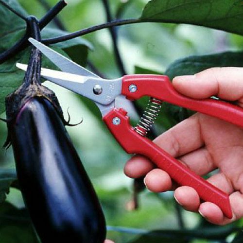 ガーデニング鋏 SE-45｜アルス《公式》園芸刃物ショップ