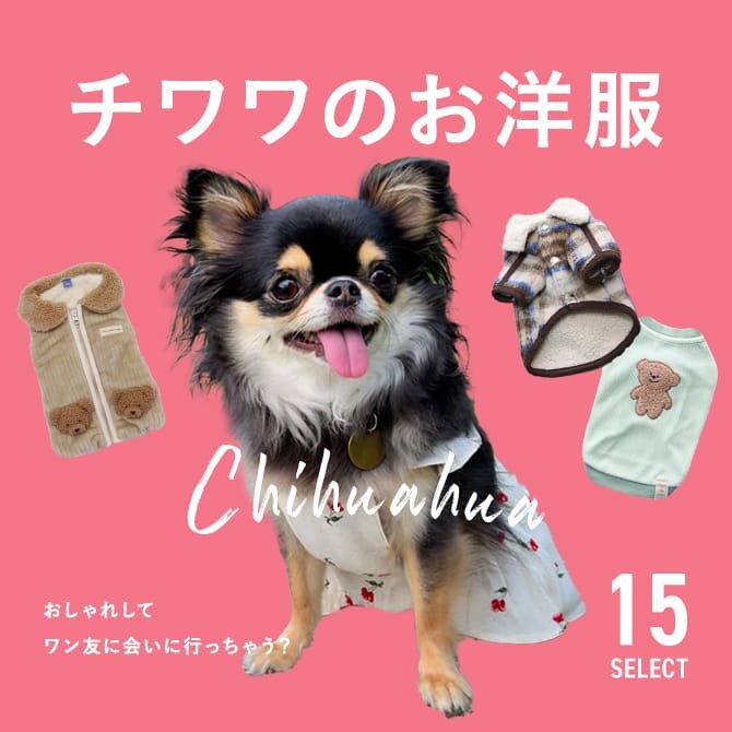 r_chanさま専用☺︎わんこふく 犬服 【公式通販】