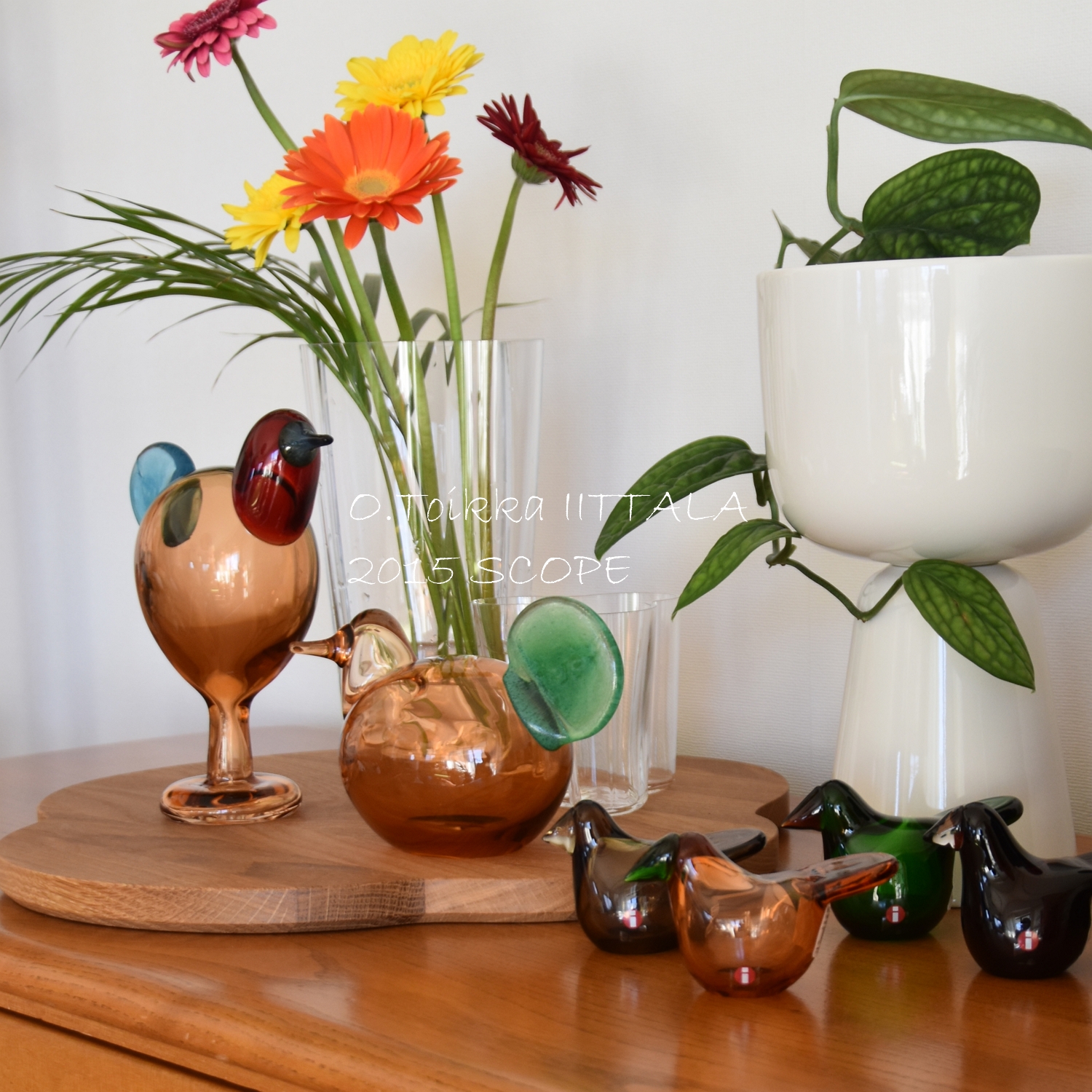 イッタラ シエッポ クリア✕クリア イッタラ シエッポ サンド✕クリア