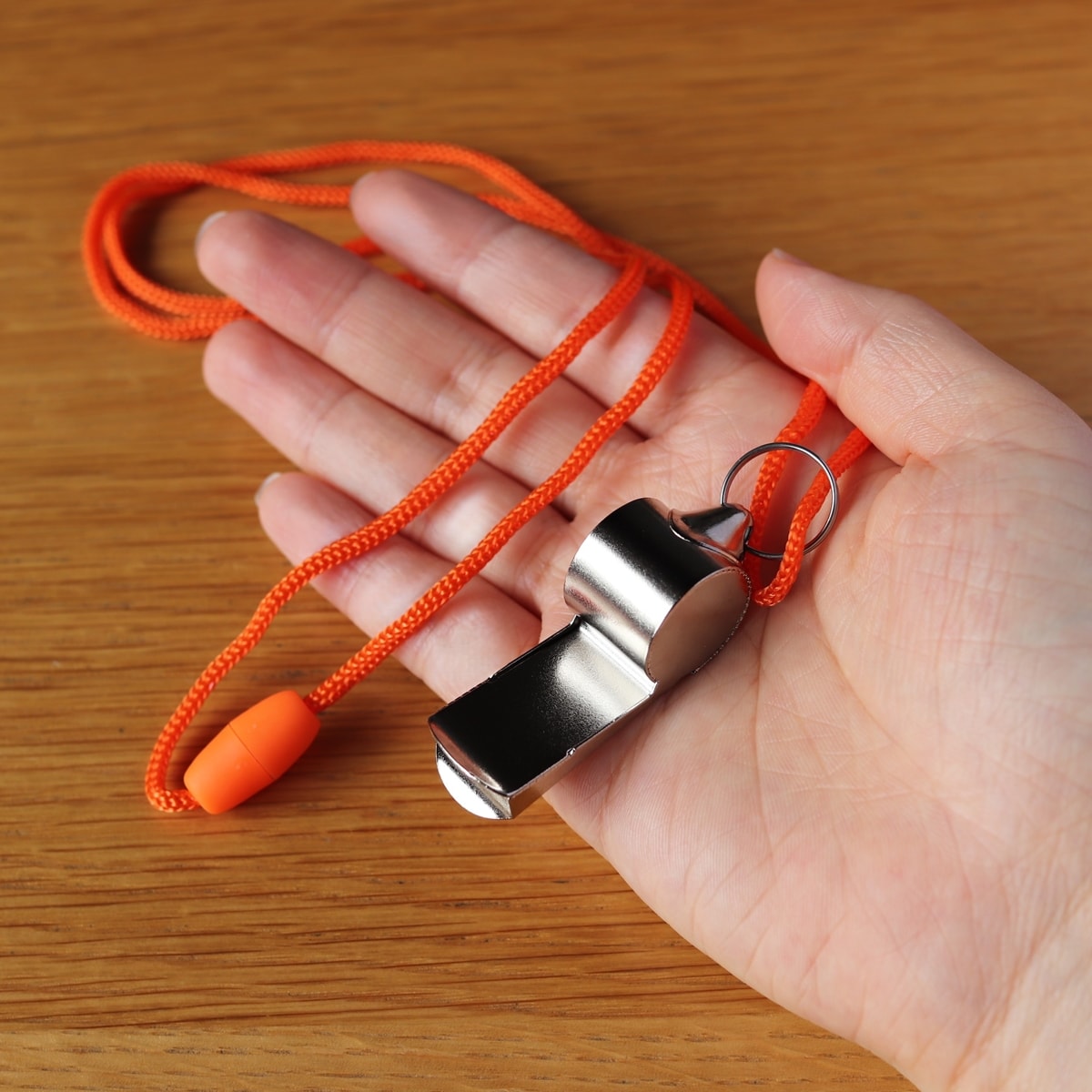 国鉄 DL運転鍵 マスコン 笛 ホイッスル 列車掛 胸名札 プレート 3点