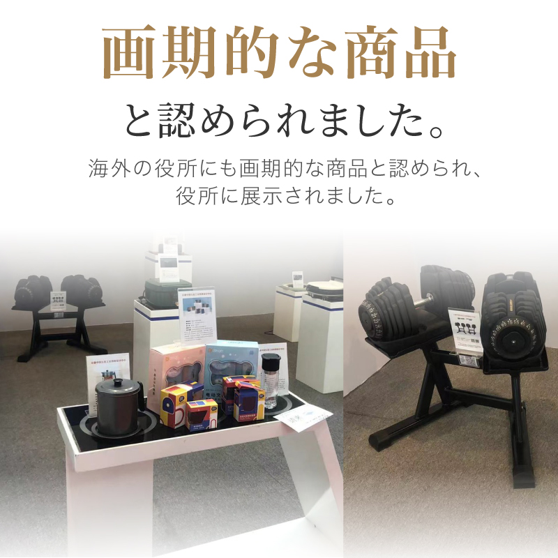 年に一度の決算SALE】 ライシン ダンベル スタンド Pro フレックスベル