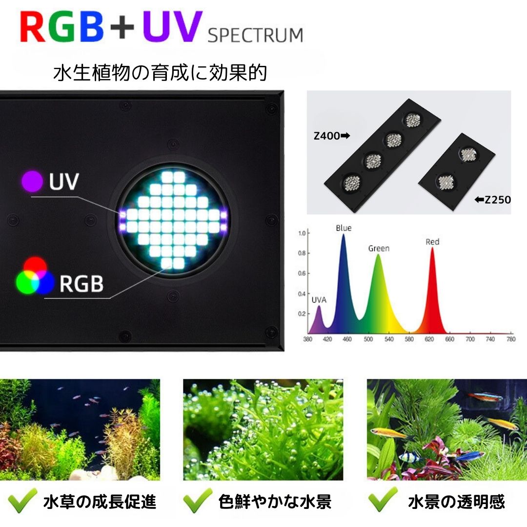 Z250 RGB TH – WEEK AQUA