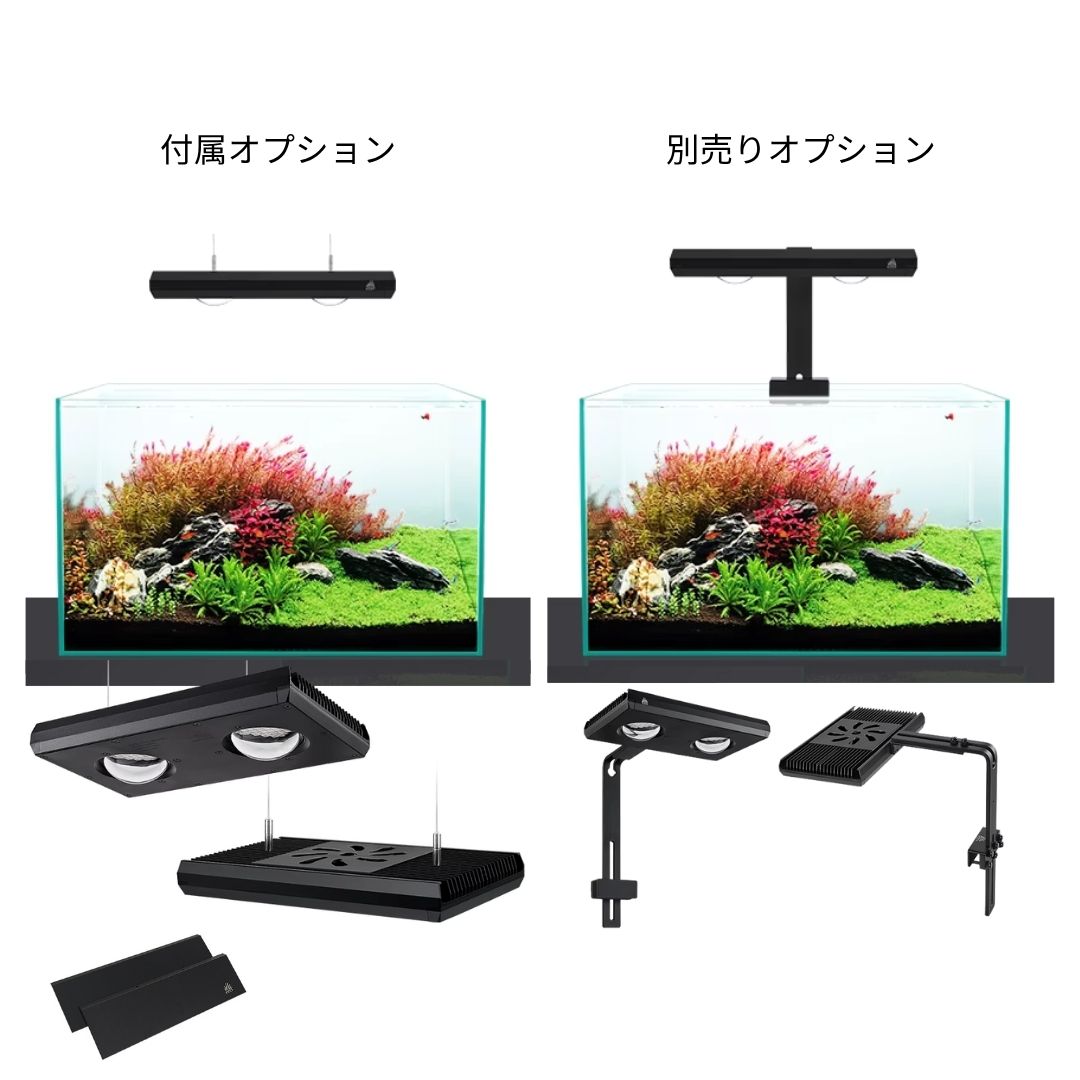 Z250 RGB TH – WEEK AQUA