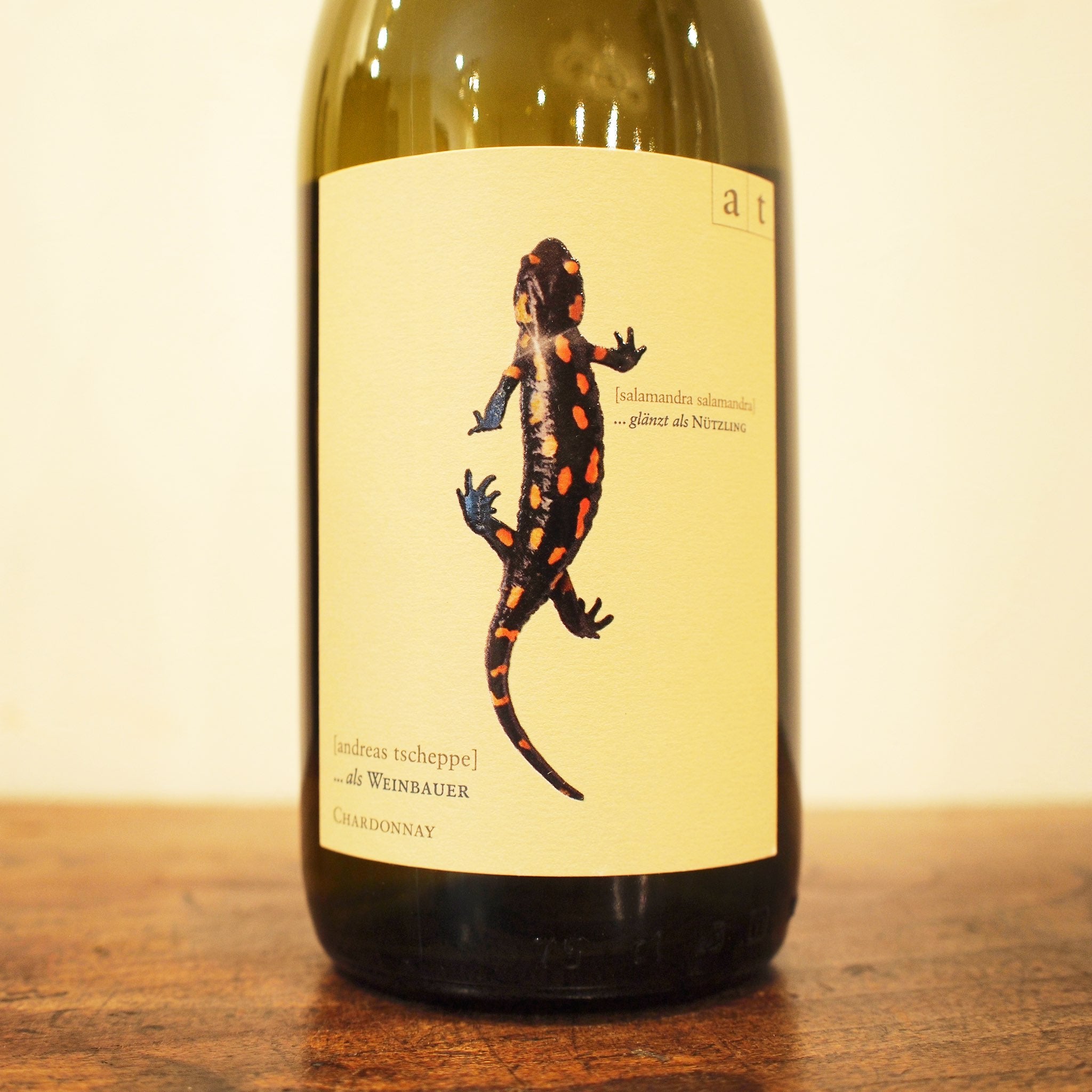 サラマンダー プラス(トカゲ) 2021 / アンドレアス・ツェッペ