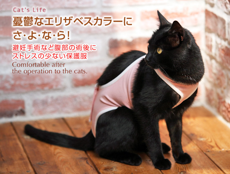 猫の暮らし 術後ガードスーツ キャット｜エリザベスカラーにさよなら