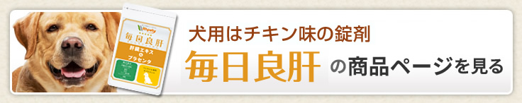 毎日良肝（粉末タイプ）【公式ウィズペティ】犬猫用肝臓ケアサプリ