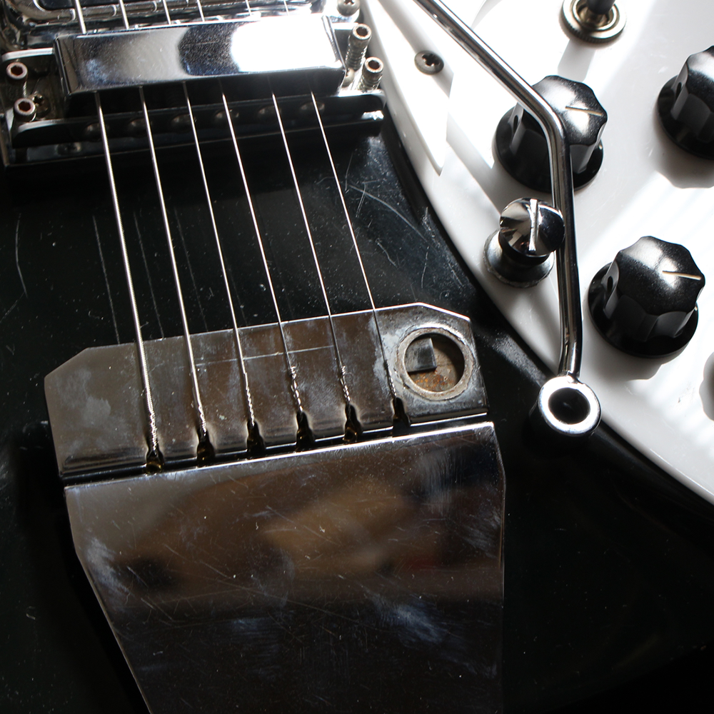 Rickenbacker 325v63 外れたトレモロ・アーム | WoodVillage