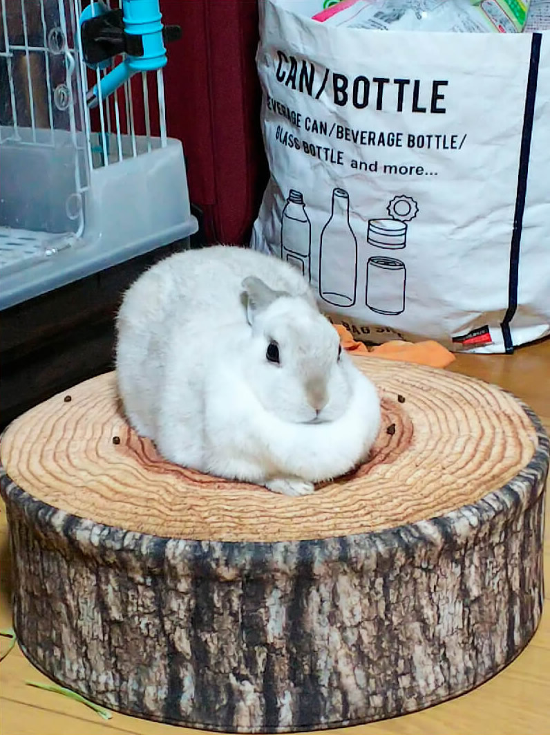 ぴろり うさぎ ウーリー農園 9袋 うさぎウーリー農園9袋