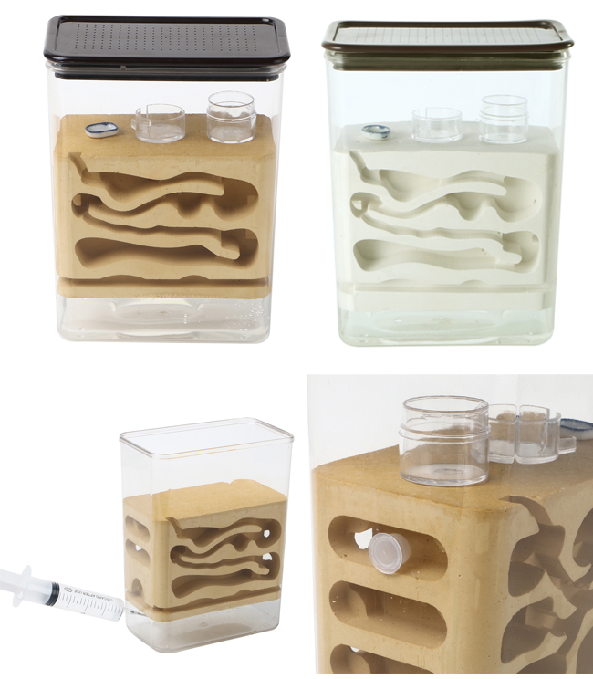 アリ飼育キット 石膏製巣箱 デジタル湿度/温度計付 5580円【ワールド