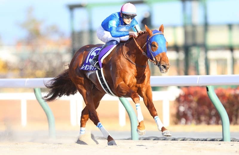 JRAポスター レモンポップ JRAポスター レモンポップ Amazon.co.jp