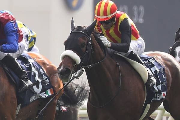 2024香港国際競走 | JRA-VAN World - 海外競馬情報サイト