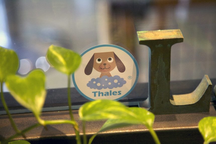 Q＆A（ターレスペット編） | ターレスのマイクロバブル (thales