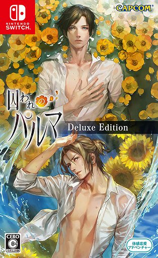 Switch版「囚われのパルマ」，横須賀市とのコラボを記念してセールを実施