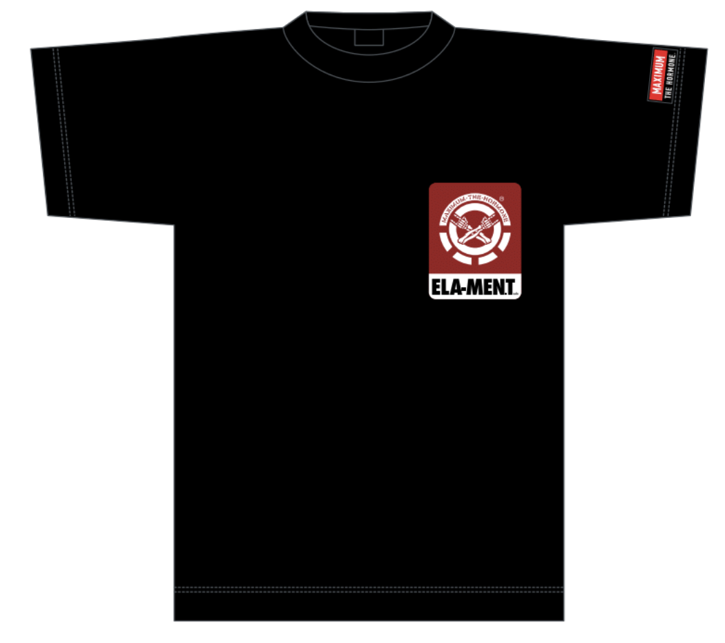 マキシマムザホルモン Tシャツまとめ売り 歴代GOODSライブラリー