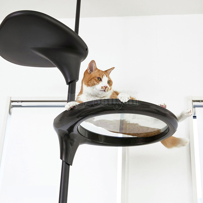 OPPO CatForest2 キャットフォレスト2 ブラック (04351) Cat Forest-2