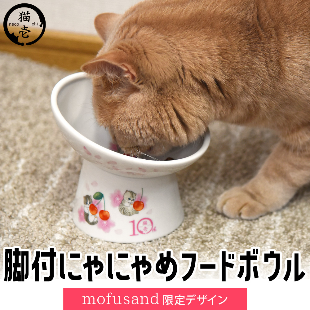 猫壱 脚付にゃにゃめフードボウル レギュラー 斜めタイプ mofusand