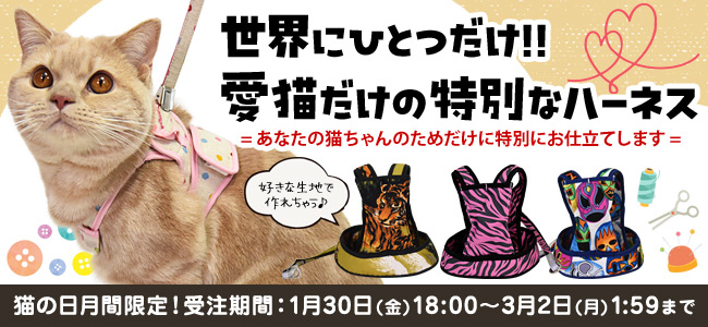 猫の日月間 スペシャルキャンペーン 2月22日はにゃんにゃんで猫の日!
