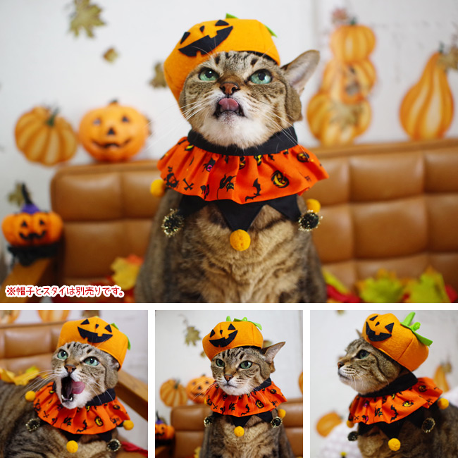 スタイ、ハロウィン限定スイートロリータ(イエロー)わんちゃん猫ちゃん