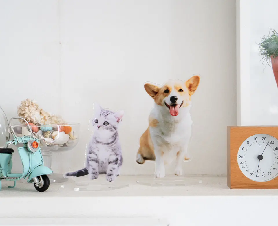 アクリルスタンド｜パレットプラザ-大切な思い出を形にするなら