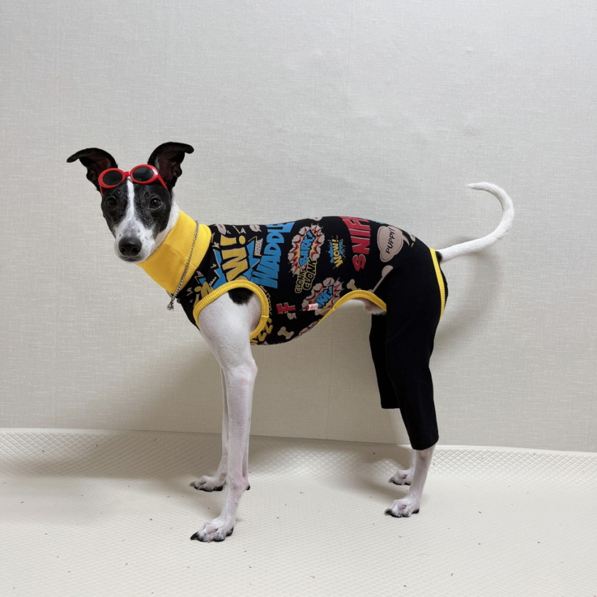 イタグレ服 コミック 柄 ロンパース つなぎ 韓国犬服 室内着 小型犬