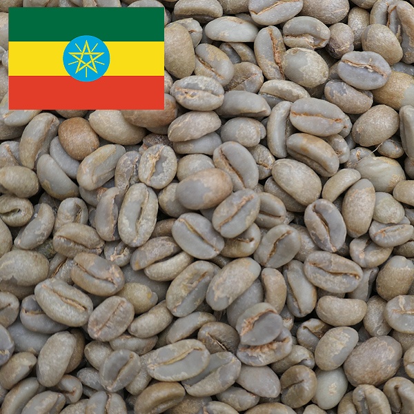 有機】モカ チェルベサ G1 ナチュラル｜コーヒー流通センター