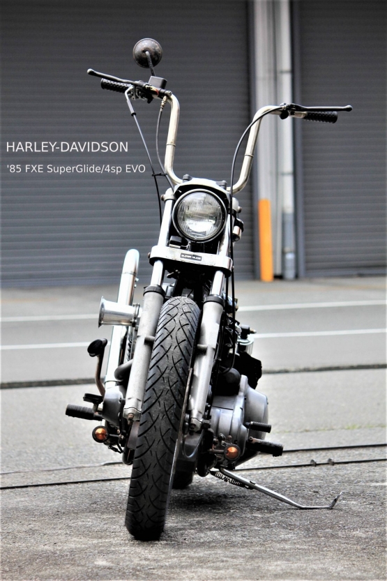 Motor Cycle｜ハーレーカスタムショップ コールドターキー エーエス