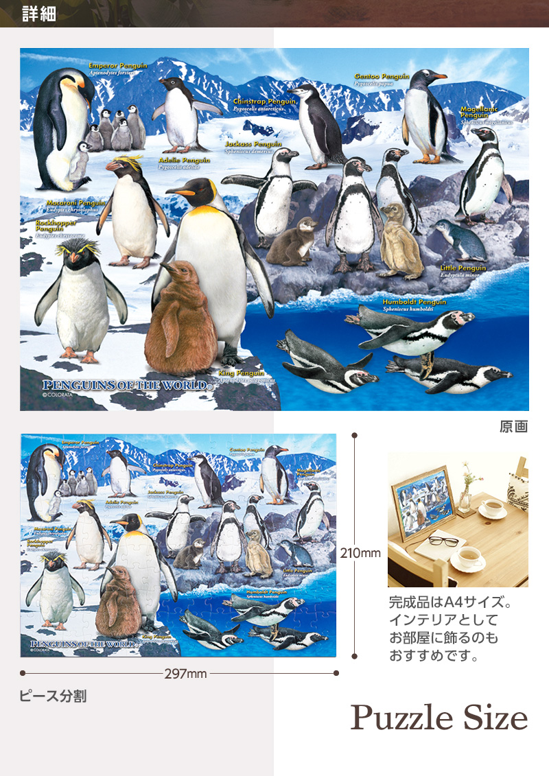 ミュージアムジグソーパズル 世界のペンギン│カロラータ オンライン