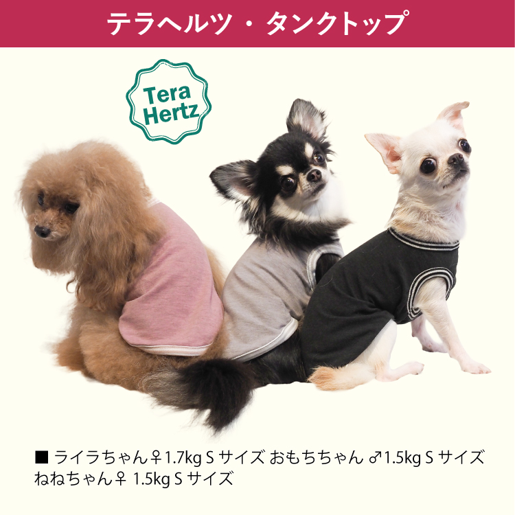 犬服 3S わんこの普段着 ゆららパープル系 犬服 3S わんこの普段着