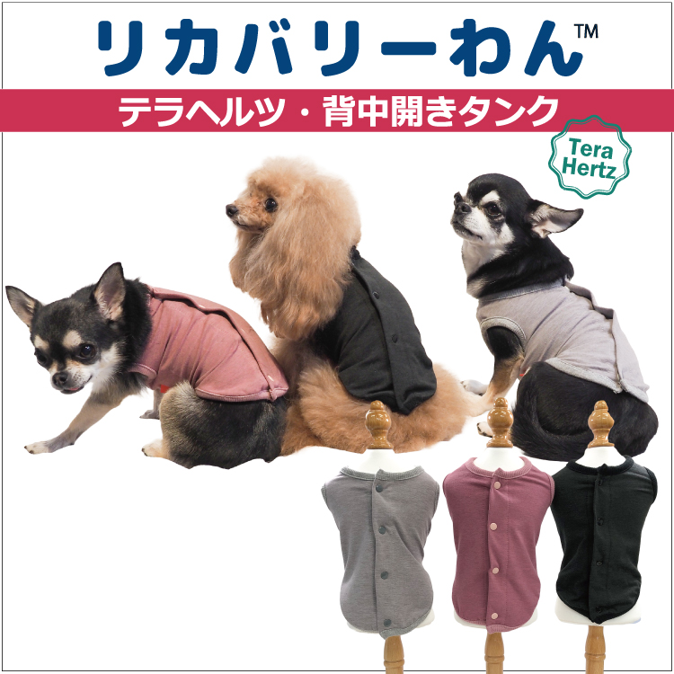売れ筋 犬リカバリーグッズ 爆売れ人気商品! テラヘルツ・ワンニャン