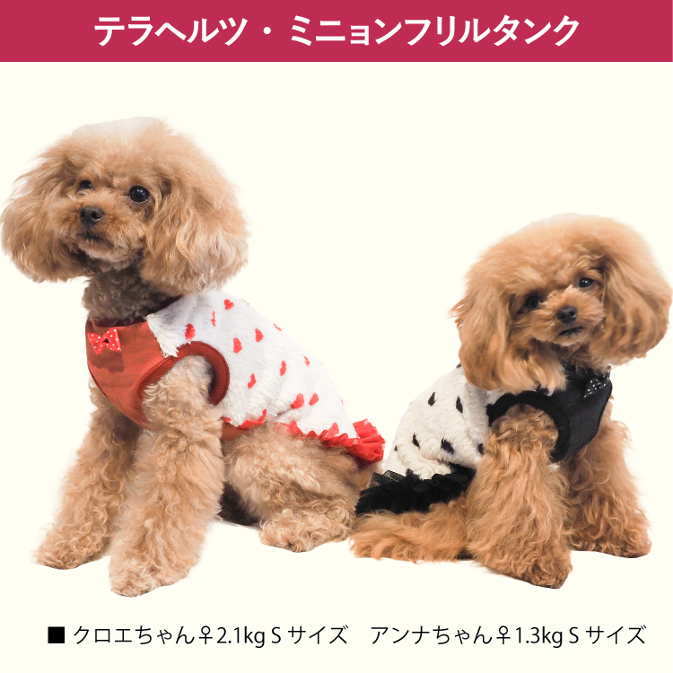 ❤犬服 クークチュール お纏め4点 ❤犬服 クークチュール お纏め4点