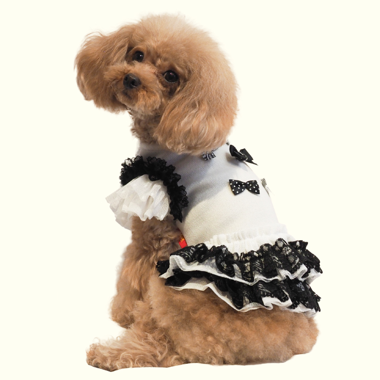 在庫限り】2025クークチュール秋冬新作 【ロゼワンピース】（2色