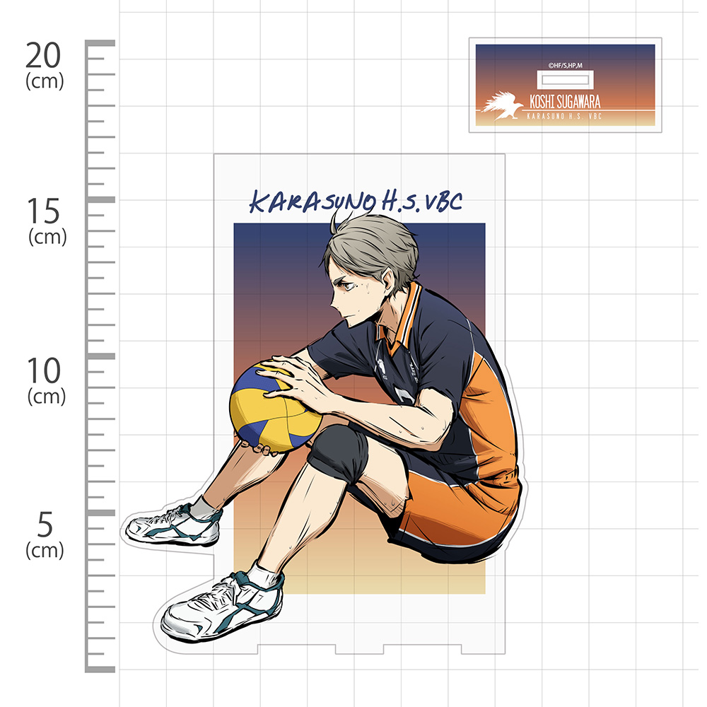 ハイキュー 菅原孝支 グッズ まとめ売り ハイキュー！！ 菅原孝支