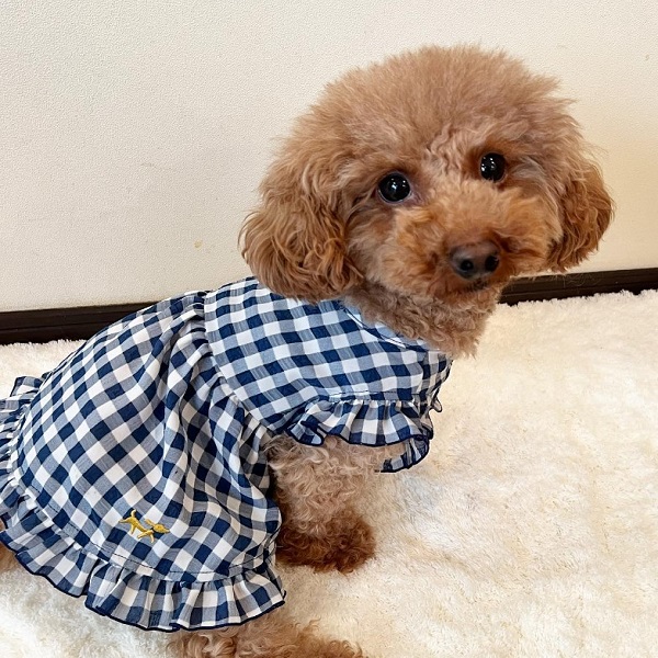 ROPE PICNIC（ロペピクニック）チェック柄Aラインワンピース | 犬服