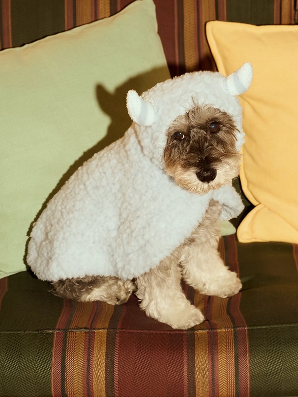 gelato pique（ジェラートピケ）【CAT&DOG】【販路限定商品】【PIQUE