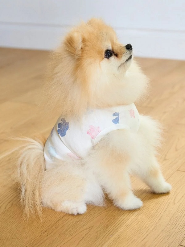 gelato pique（ジェラートピケ）【CAT&DOG】【販路限定商品】【PIQUE