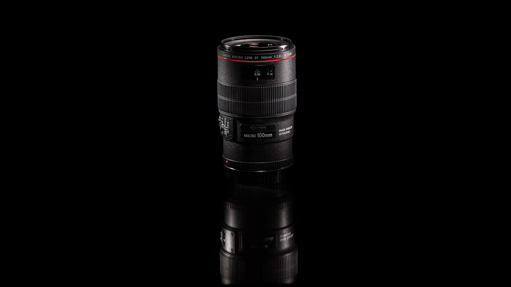 Review - Canon EF 100mm f/2.8L IS Macro - Your Best Source for