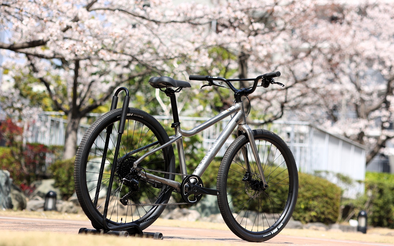 Treadwell 2 LTD Sサイズが残りわずかです | キャノンデール横浜