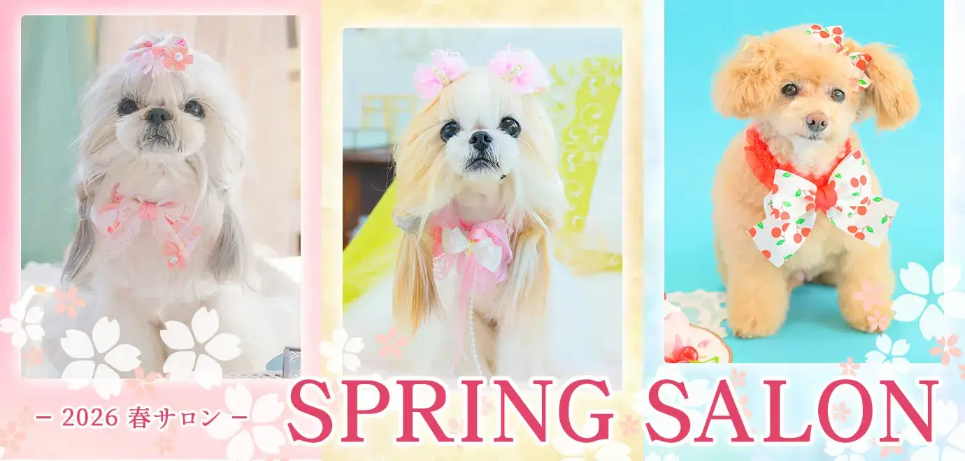 ペットサロン専用業務用アクセサリーの通販ショップ『きゃんナナ』– 卸