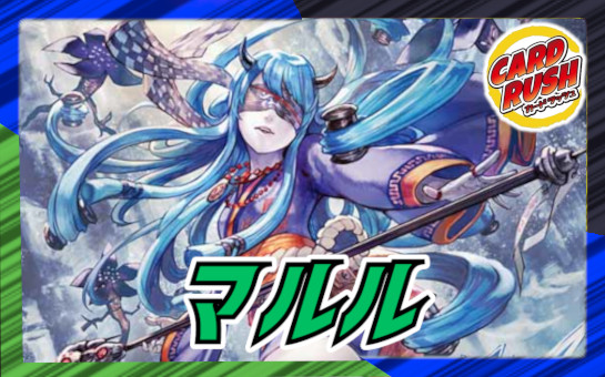 アナカラーマルル 微高レート 調整パーツ付き（4枚目） 最終値下げ