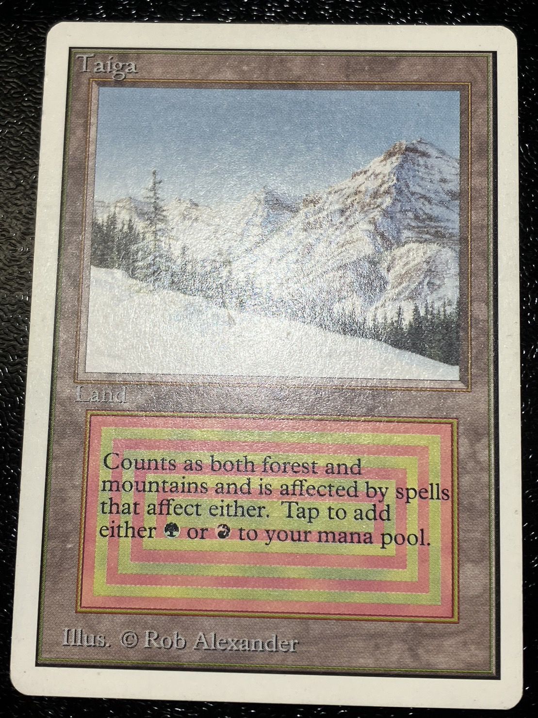 Taiga mtg 英語 Taiga | 3rd Edition / Revised | Star City Games