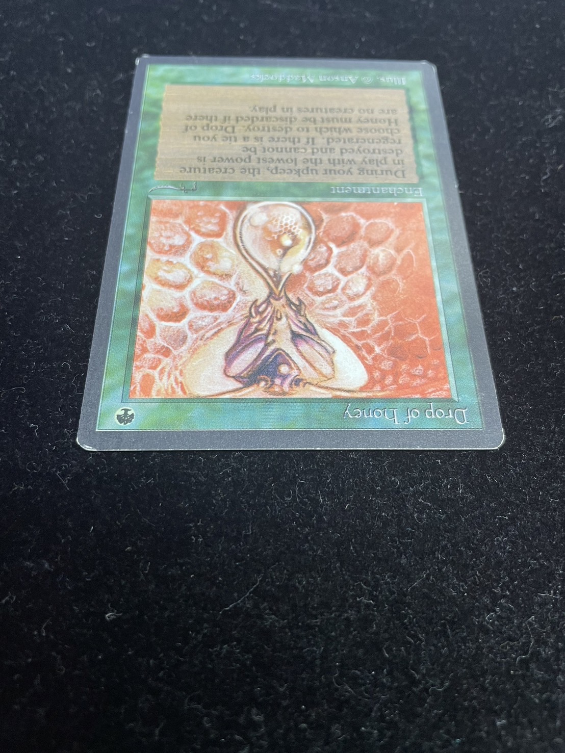 EX]Drop of Honey《英語》【ARN】#273