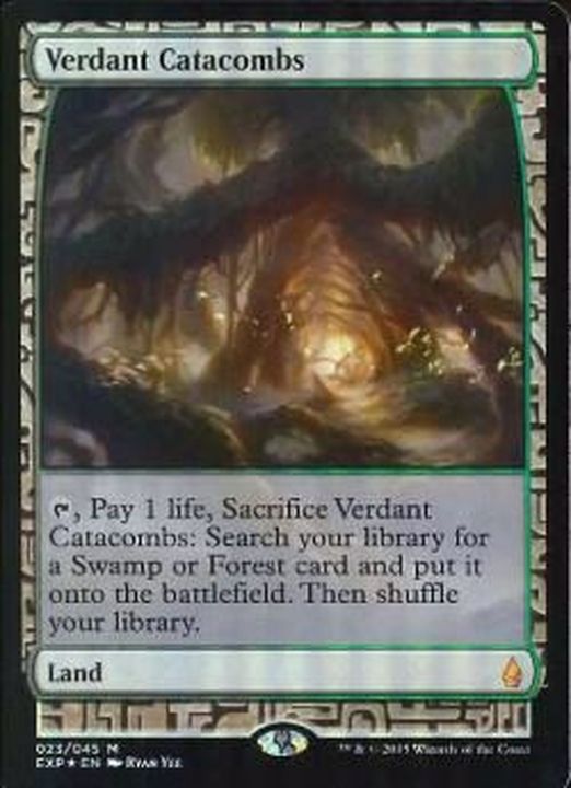 新緑の地下墓地/Verdant Catacombs 英語 Foil EX+](FOIL)新緑の地下