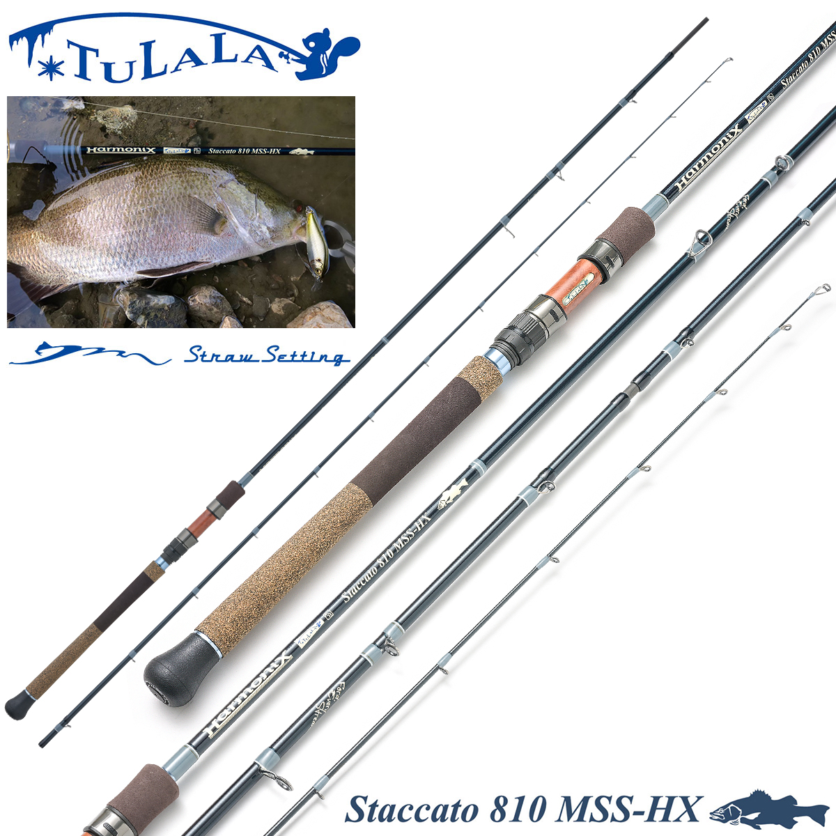 デッキ まとめ売り】ストイケイア グローリー・メイルストローム軸 高